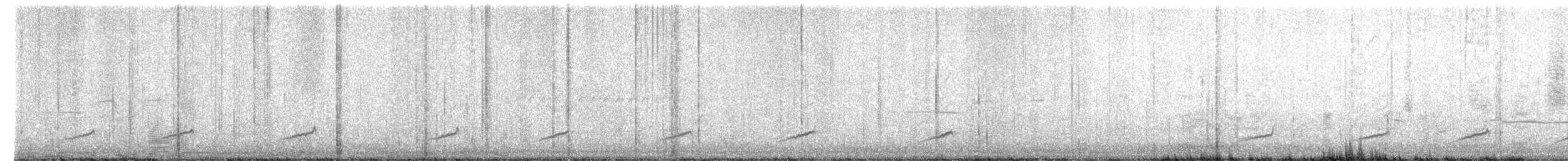 Короткоклювый бекасовидный веретенник (caurinus) - ML579114371