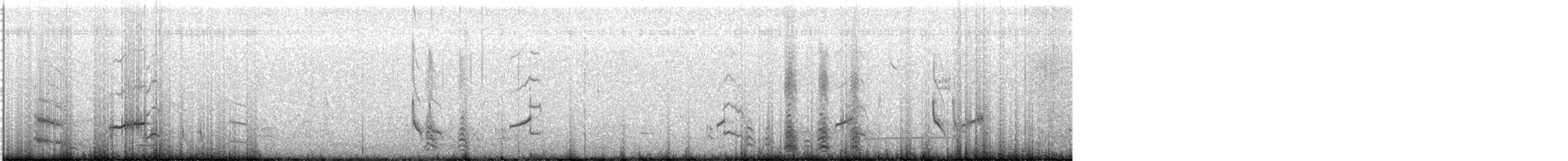 太平洋金斑鴴 - ML579115891