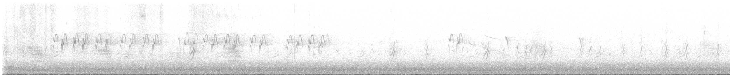 סנונית רפתות - ML579137371