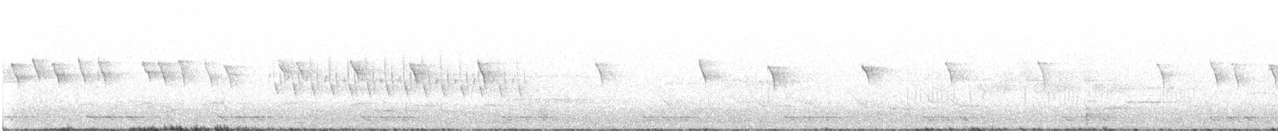 Black-billed Cuckoo - ML579152371