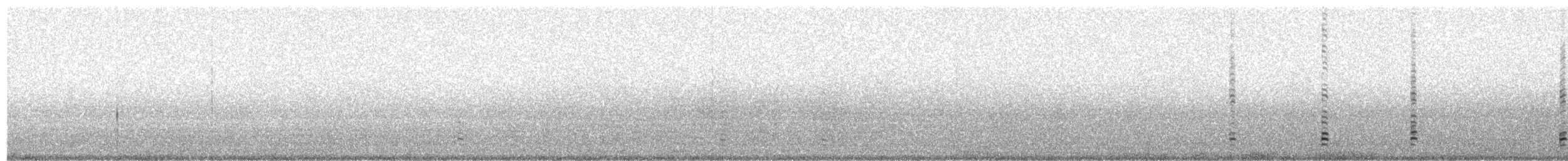 Ібіс андійський - ML579161241