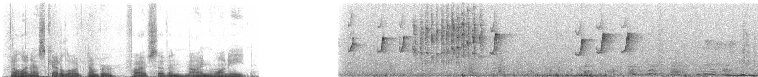 Braunbauch-Baumspäher (minutus) - ML57918