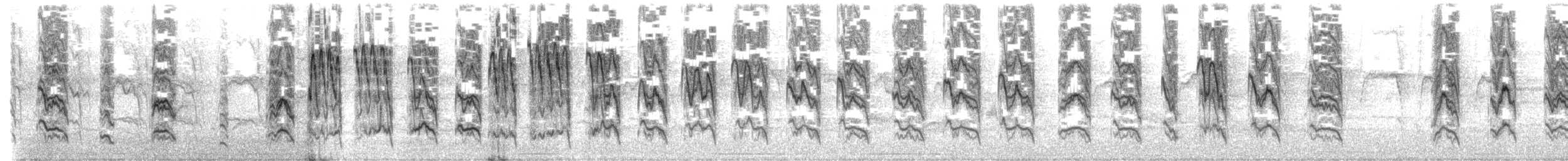 American Robin - ML579185021
