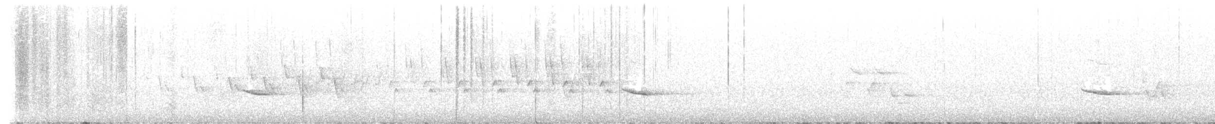 Hermit Thrush - ML579187971