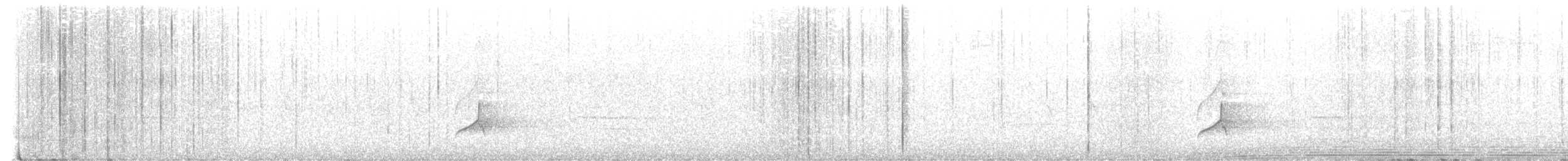 Great Crested Flycatcher - ML579187991