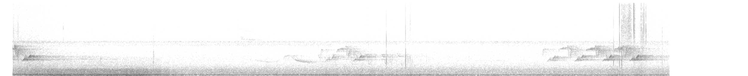 Поплітник каролінський - ML579191961