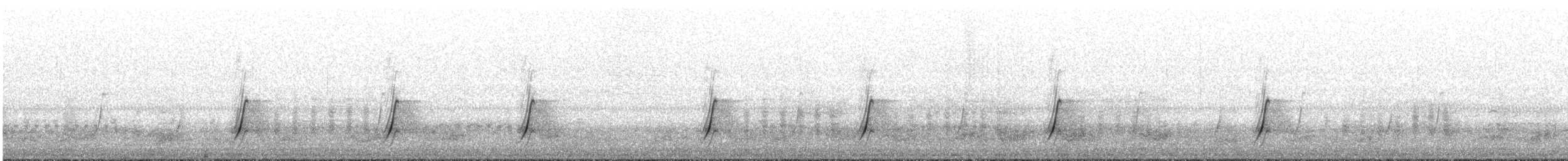 斑胸秧雞 - ML579192601