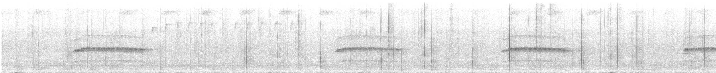 Spillmann's Tapaculo - ML579208981