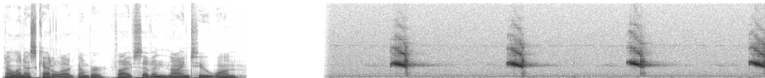 Channel-billed Toucan (Ariel) - ML57921