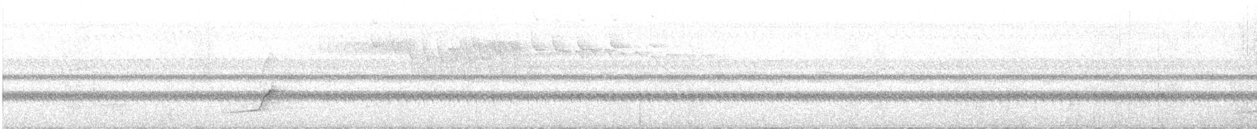 シロボウシマイコドリ - ML579210201