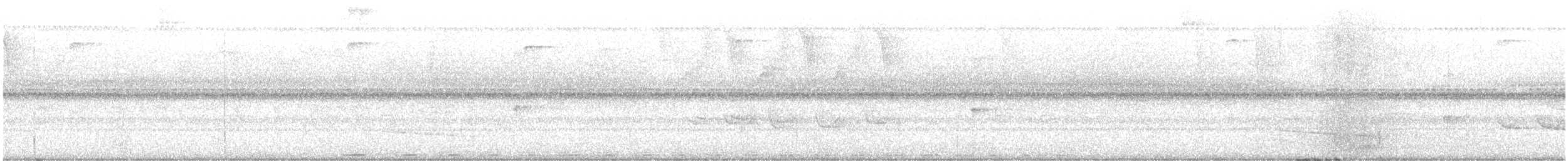 White-mantled Barbet - ML579211381