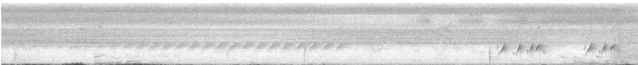 Тиран-крихітка темноголовий - ML579214551