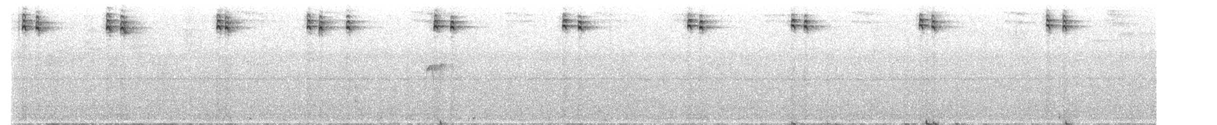 Пестрохвостый колибри - ML579221591
