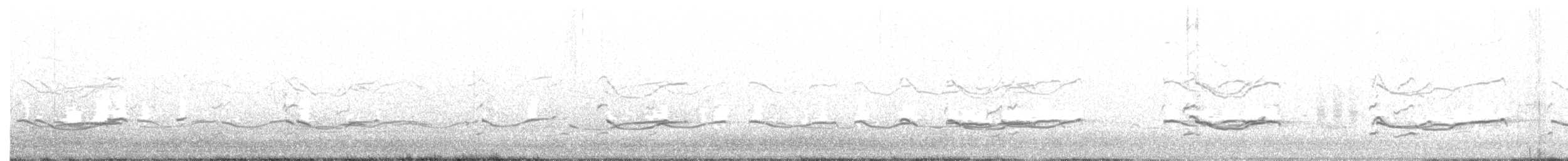灰斑鴴 - ML579251201