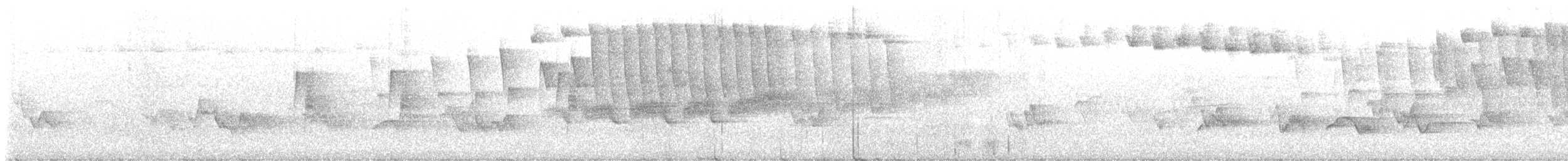Cerulean Warbler - ML579282611