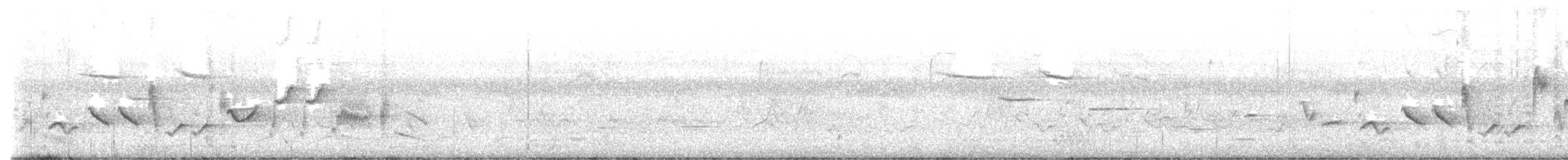 Oriole des vergers - ML579297921