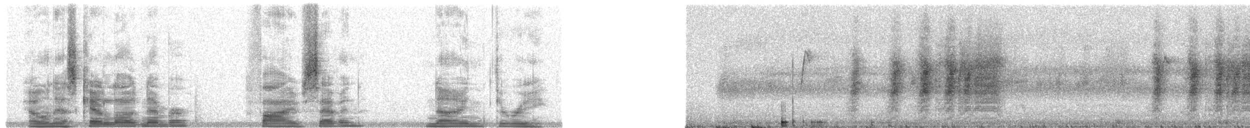 Fiji/Black-throated Shrikebill - ML5793