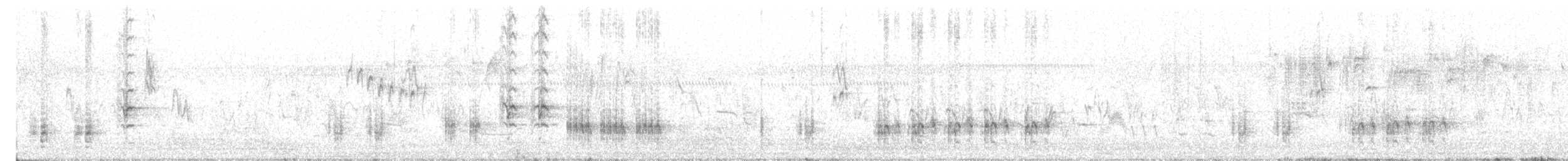 Great Reed Warbler - ML579322511
