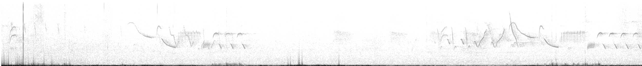 Bewick's Wren - ML579341631