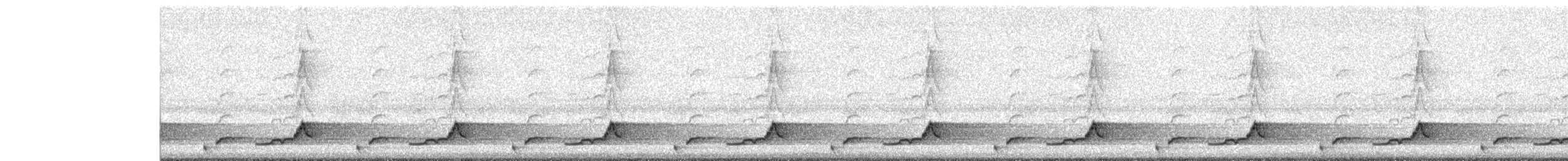 Eastern Whip-poor-will - ML579366321