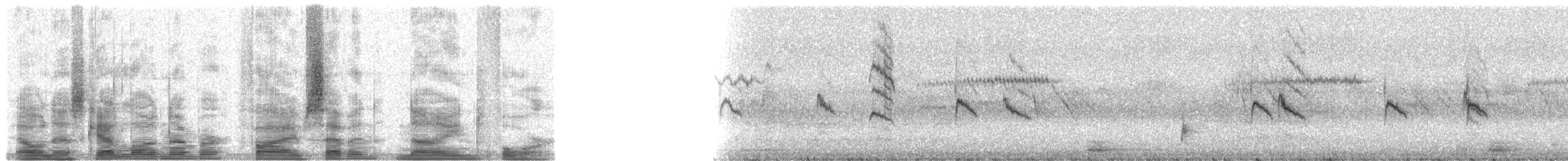 Fiji White-eye - ML5794