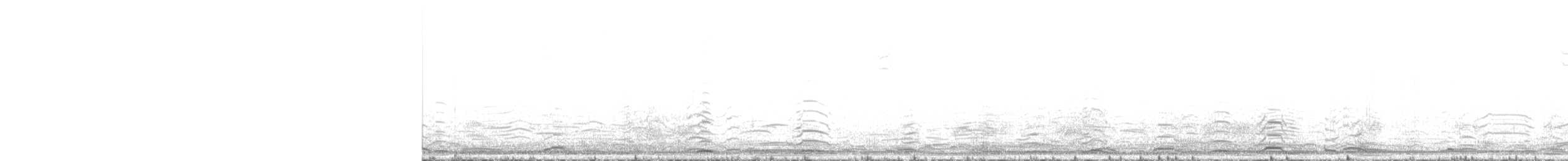 Cygne siffleur - ML579436091