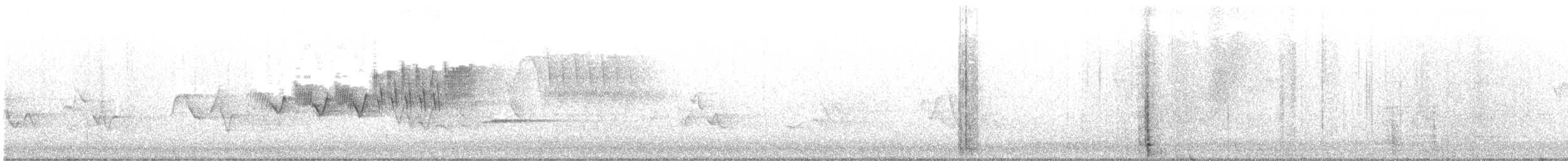 Cerulean Warbler - ML579484161