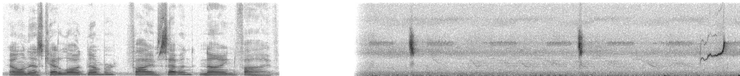 Vanikoro Flycatcher - ML5795