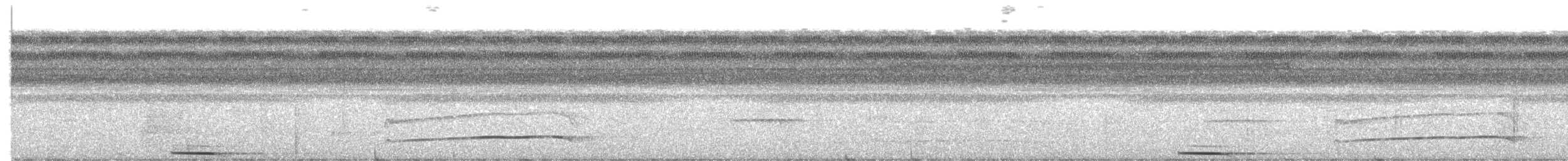 Zigzag Heron - ML579503661