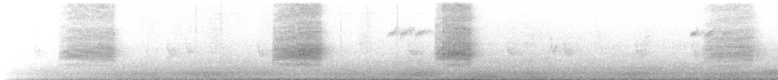 Étourneau soyeux - ML579546271