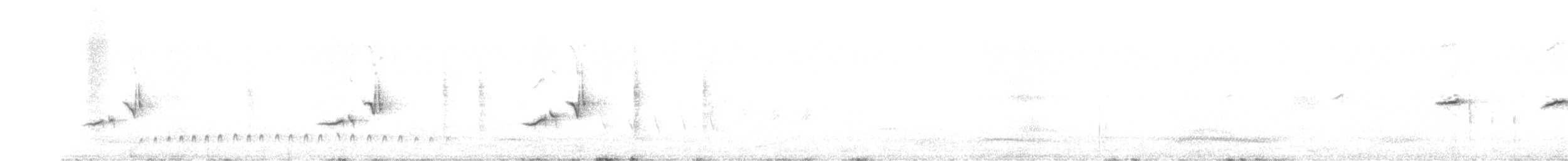 Blyth's Reed Warbler - ML579558781