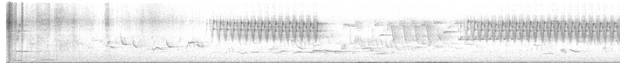 Locustelle fluviatile - ML579572071