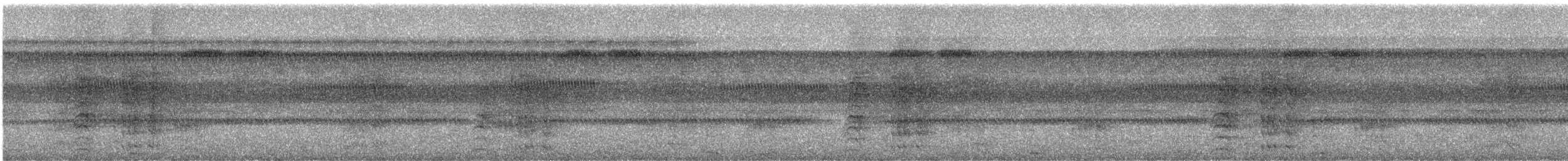 Kara Karınlı Sincap Guguğu - ML579572561
