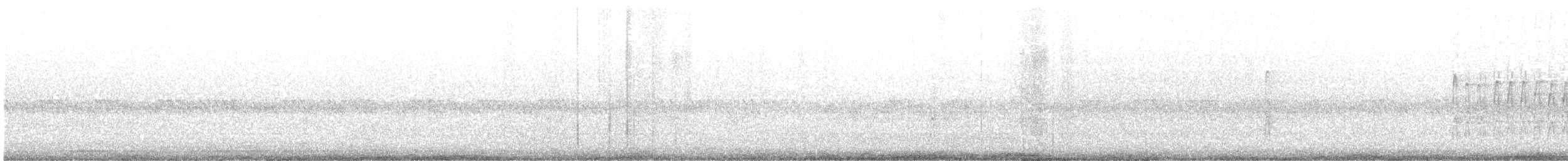 Pic de Nuttall ou P. arlequin - ML579578061