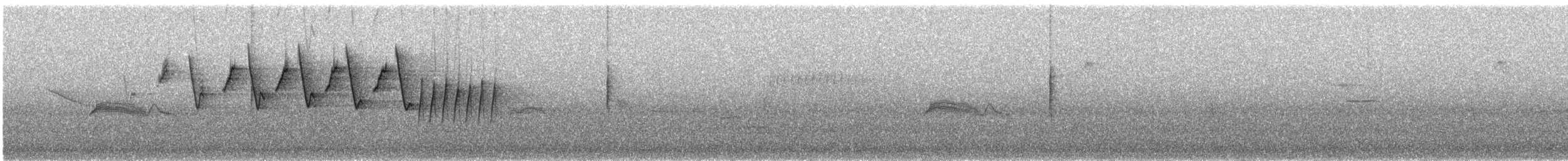 bjørkeparula - ML579579761