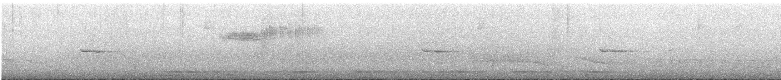 Голубокрылая червеедка - ML579591731