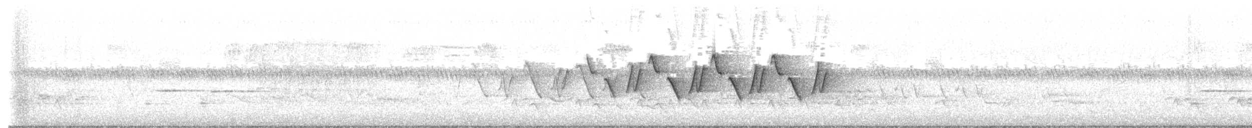 Weidengelbkehlchen [trichas-Gruppe] - ML579593471