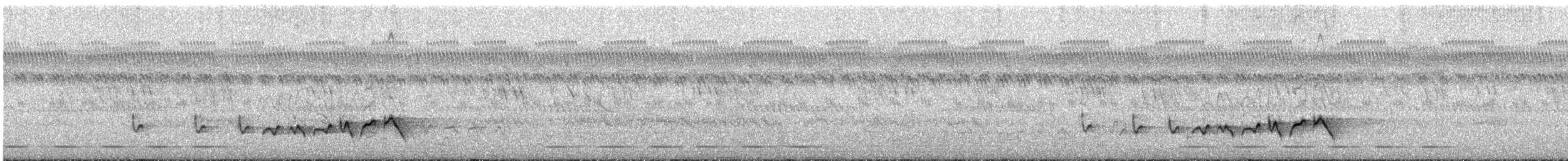 Whistling Cisticola - ML579596991