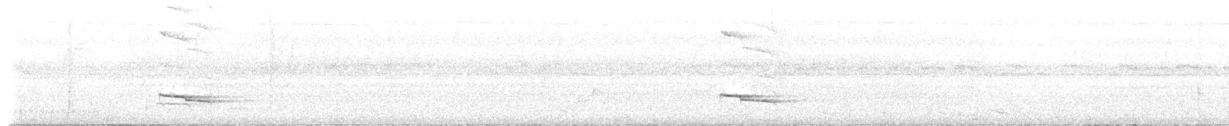 Серогрудый рогоклюв - ML579597541