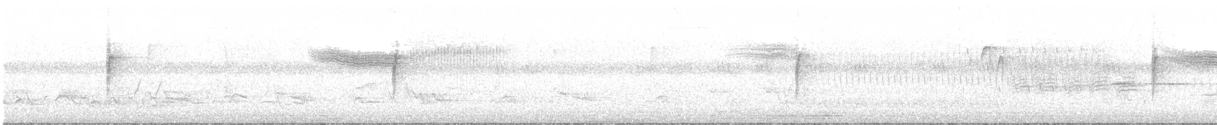 svartbrystparula - ML579598111