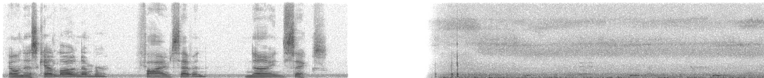 Duetting Giant-Honeyeater - ML5796