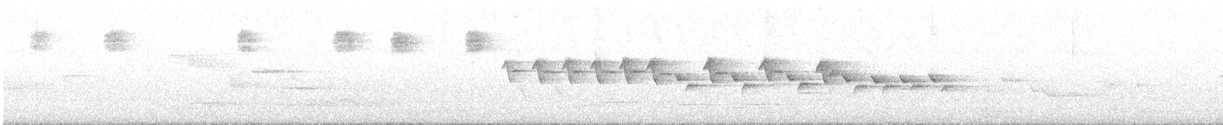 Zwergschnäpper - ML579604041