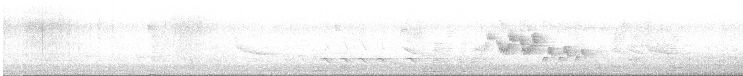 Mourning Warbler - ML579623631