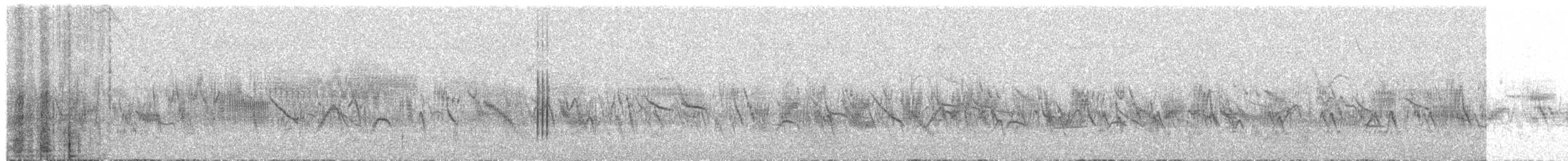 Little Bustard - ML579677801