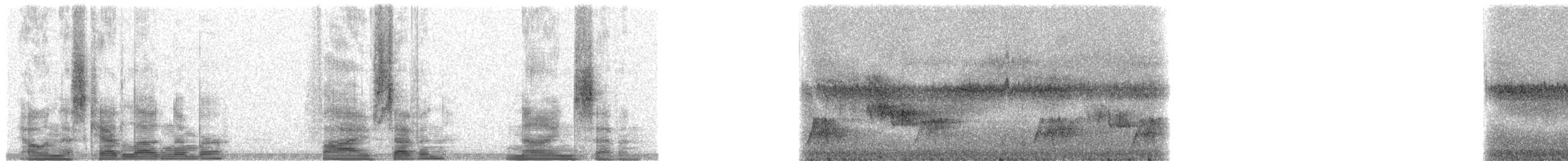 Méliphage d'Ovalau - ML5797