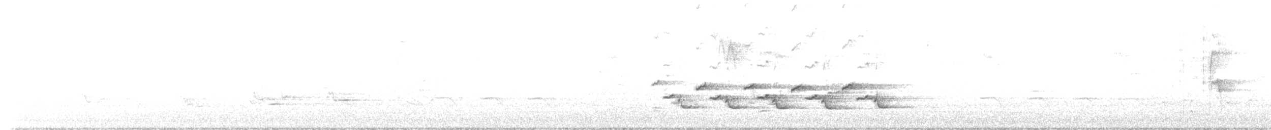 Каролинский крапивник - ML579704801
