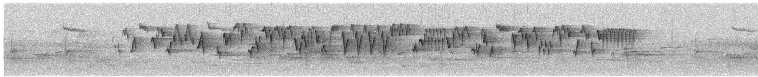 Troglodyte de Baird - ML579706931