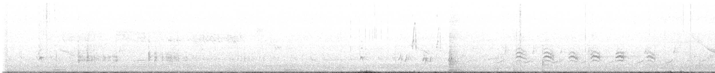 Weißbrustkleiber - ML579733091