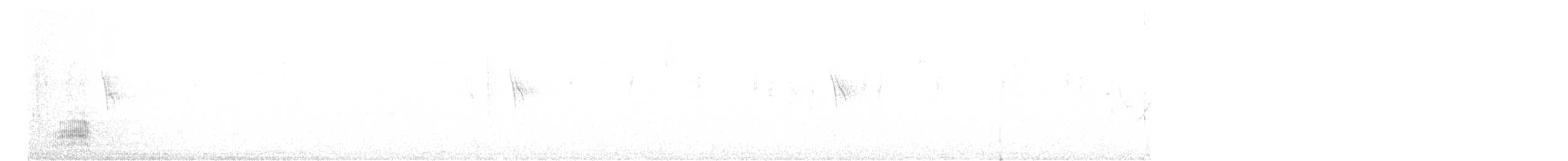 Крижень звичайний х мексиканський - ML579740061