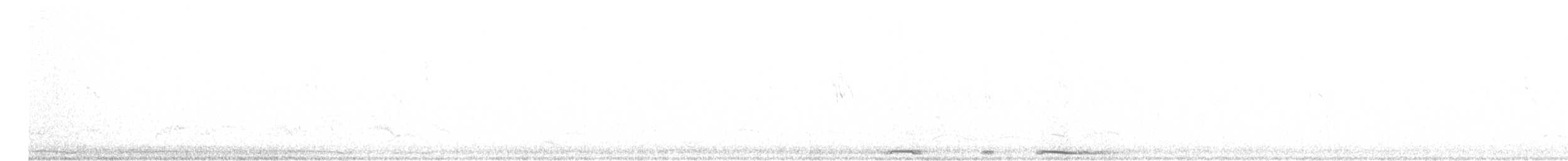 Tourterelle à ailes blanches - ML579742261